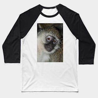 Black-faced Vervet Monkey, Kenya. Baseball T-Shirt